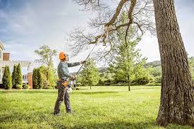 Best Lawn Irrigation Installation and Maintenance  in Redwood City, CA