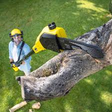 Best Commercial Tree Services  in Redwood City, CA